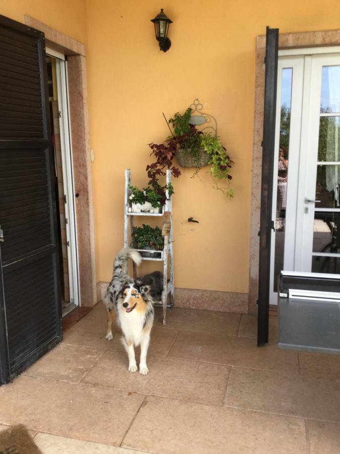 Suite Al Pian Gugi Exterior photo